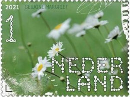 Netherlands 2021 - Mi 3995 (MNH) - Common Daisy (Leucanthemum Vulgare) - Altri & Non Classificati
