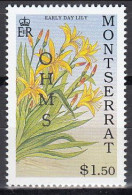 Montserrat - Early Daylilies - Altri & Non Classificati