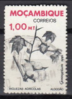 Mozambique - Cotton (Gossypium) - Altri & Non Classificati