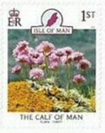 Isle Of Man 2091 - Mi 2699 (MNH) - Sea Thrift (Armeria Maritima) (Self-adhesive) - Altri & Non Classificati