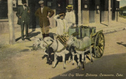 Cuba, CAIMANERA, City Water Delivery By Goat Cart (1910s) Postcard - Cuba