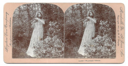 Woodland Echoes. Femme Jouant De La Flûte Traversière. Photo Stéréo Sur Carton 178x89 Mm (GF3901) - Stereoscopic