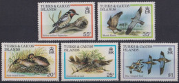 F-EX46497 TURK & CAICOS MNH 1980 BIRD OISEAUX VÖGEL AVES PAJAROS.  - Collezioni & Lotti