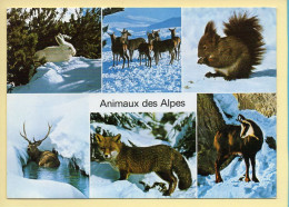 Animaux : Animaux Des Alpes / Multivues (voir Scan Recto/verso) - Altri & Non Classificati