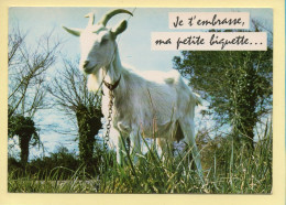 Animaux : Chèvres / Je T'embrasse Ma Petite Biquette.... / Message Humoristique (voir Scan Recto/verso) - Altri & Non Classificati