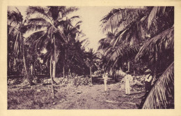 Cuba, HAVANA, Cuban Landscape (1930s) Postcard - Cuba