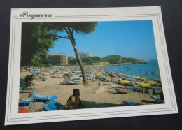 Mallorca - Paguera - Playa De Rota - Ediciones Palma - # 2934A - Mallorca