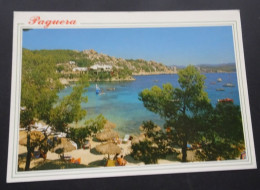Mallorca - Paguera - Cala Fornells - Ediciones Palma - # 2915A - Mallorca