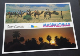 Gran Canaria - Maspalomas - Panoramas - Edicion Unipostal - Gran Canaria