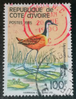 Ivory Coast 100f 1985  Actophilornis Africana (2) - Costa De Marfil (1960-...)