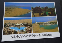 Gran Canaria - Maspalomas - Estilo Canarias - # 333 - Gran Canaria