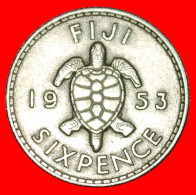 * GREAT BRITAIN (1953-1967): FIJI  6 PENCE 1953 TURTLE! ELIZABETH II (1953-2022)  · LOW START ·  NO RESERVE! - Fiji