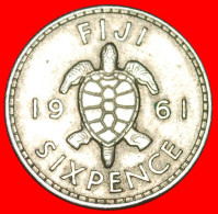 * GREAT BRITAIN (1953-1967): FIJI  6 PENCE 1961 TURTLE! ELIZABETH II (1953-2022) · LOW START ·  NO RESERVE! - Fiji
