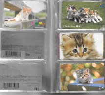 40 CARTES-MAGNETIQUE-JAPON-THEME-CHATONS-TBE - Katten