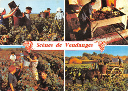 33 - La Gironde Scènes De Vendanges - Autres & Non Classés