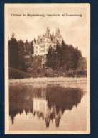 Luxembourg. Larochette. Château De Meysenbourg. (1880- Prince D'Arenburg. Architecte Charles Arendt). - Fels