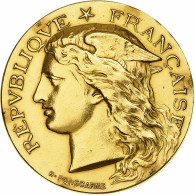 France, Médaille, Société D'Encouragement à L'Agriculture D'Yvetot, 1890 - Altri