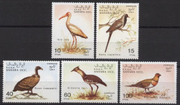 Sahara Occidental 1991 MNH 5v, Birds, Vulture, Stork, Kori Bustard, Sandgrouse - Vignettes De Fantaisie