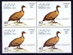 Sahara Occidental 1991 MNH Blk, MNH Blk, Rüppell's Vulture, Birds Of Prey - Vignettes De Fantaisie