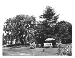 Kluisbergen Kwaremont Home St Franciscus Xaverius Hof Foto Prentkaart Htje - Kluisbergen