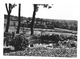 Kluisbergen Kwaremont Home St Franciscus Xaverius Hof Met Vijver Foto Prentkaart Htje - Mont-de-l'Enclus