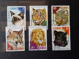 1977	Cuba Cats (F72) - Gebruikt