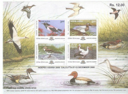 India 2000 Migratory Birds Ducks Indepex Asiana Minisheet MINIATURE SHEET MS MNH - Unused Stamps
