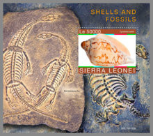 SIERRA LEONE 2019 MNH Fossils Fosslilien Fossiles Shells S/S - OFFICIAL ISSUE - DH1951 - Fossiles