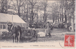 86 - VIENNE - VIVONNE  CHAMP DE FOIRE AUX PORCS - 1 ER PLAN UN ANE  ETCAGE PORCINE - Vivonne