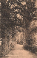 ROYAUME-UNI - Angleterre - Isle Of Wight - L'Avenue - Seaview - Carte Postale Ancienne - Other & Unclassified