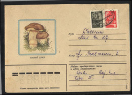 RUSSIA USSR Stationery USED ESTONIA  AMBL 1222 TARTU Mushrooms - Unclassified