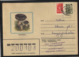 RUSSIA USSR Stationery USED ESTONIA  AMBL 1223 TARTU Mushrooms - Unclassified