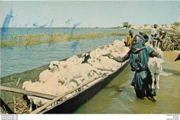 Photo Cpsm Petit Format MALI Berger Se Prépare à Traverser Le Niger Avec Ses Moutons 1971 - Mali