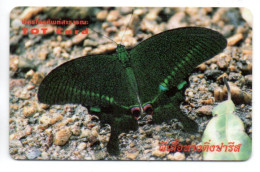 Papillon Butterfly Télécarte Thaïlande Phonecard Card (F 37) - Thaïland