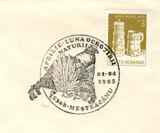 131  Coq De Bruyère, Grand Tétras: Oblit. Temporaire, 1985 - Mountain Cock Pictorial Cancel. Western Capercaillie - Gallinacées & Faisans