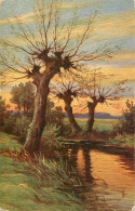 Landscape With Trees W. Hoy - Weiden Am Bach - Arbres