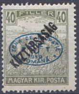 Hongrie Debrecen 1919 N° 50 * Semeurs Köztársaság  (J15) - Debreczin