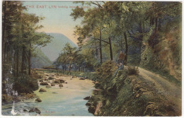 The East Lynn Looking Towards Lynton - (England) - Lynmouth & Lynton