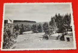 LOUETTE SAINT-PIERRE - Centre De Vacances De L'Y.W.C.A.  -  Vue Générale Du Camp - Gedinne