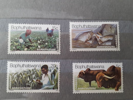 1979	Bophuthatswana Agriculture (F73) - Bophuthatswana