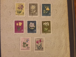 1963	Bulgaria Flowers (F73) - Gebraucht