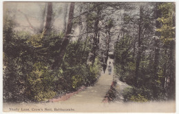 Shady Lane, Crow's Nest, Babbacombe - (England) - Torquay