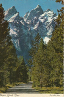 Majestic Grand Teton, Elev. 13,766 Ft. From Road Through The National Parc Section Of The Jackson Hole - Other & Unclassified