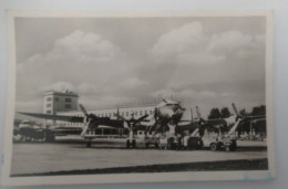 Frankfurt Am Main, Flughafen, Vorfeld, Propellermaschinen, 1956 - Frankfurt A. Main