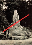 REPRO AK Tafelfichte Smrk Denkmal A Haindorf Hejnice Bad Flinsberg Swieradow Zdroj Neustadt Groß Klein Iser Isergebirge - Sudeten