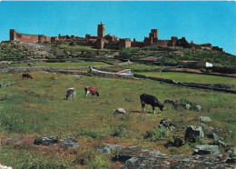 [-5%] ESPAGNE - Trujillo - Mourailles - Côte Ouest - Carte Postale Récente - Cáceres