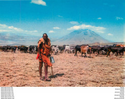 (MI) Photo Cpsm Cpm Afrique. KENYA. Masai Grazing Cattle - Kenya