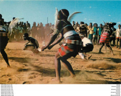 (MI) Photo Cpsm Cpm Afrique. KENYA. Masai Dancers - Kenya