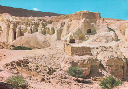 ISRAËL - Ruines D'une Forteresse Au Désert De Judée De Nachal Zohar - Carte Postale Récente - Israel