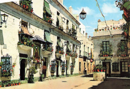 ESPAGNE - Cádiz - Petite Place Du Père La Craie - Carte Postale Récente - Cádiz